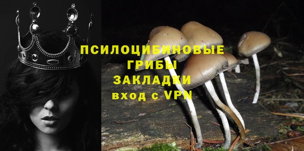 герыч Алексин
