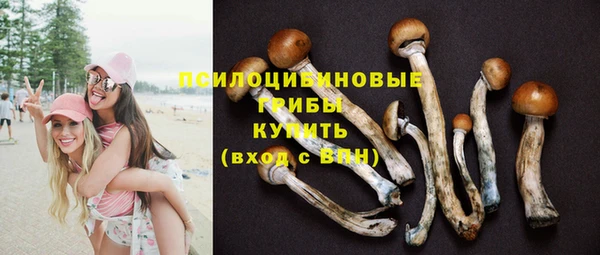 мескалин Абаза