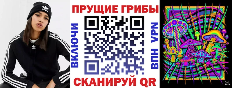 Псилоцибиновые грибы GOLDEN TEACHER  гидра как войти  Камень-на-Оби 
