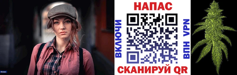 mega как войти  Камень-на-Оби  Марихуана конопля 